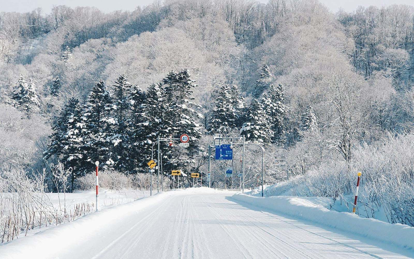 北海道の雪景色